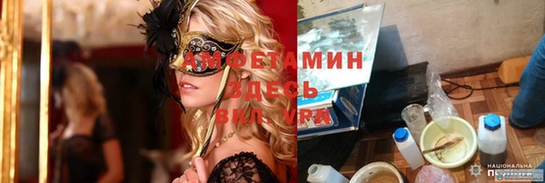 сатива Беломорск