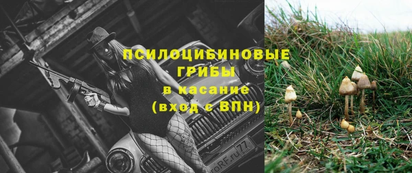 не бодяженный Богданович