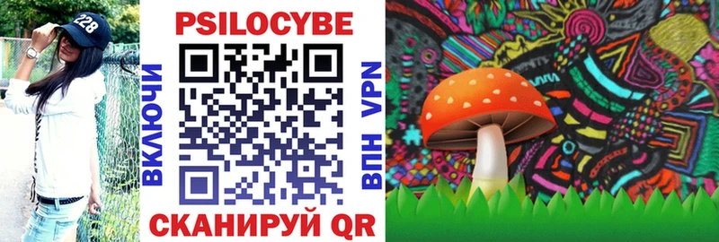 Купить  Магадан  Псилоцибиновые грибы GOLDEN TEACHER 