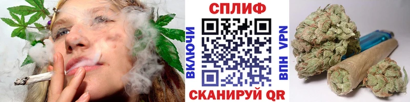 Купить закладки  Магадан  Канабис MAZAR 